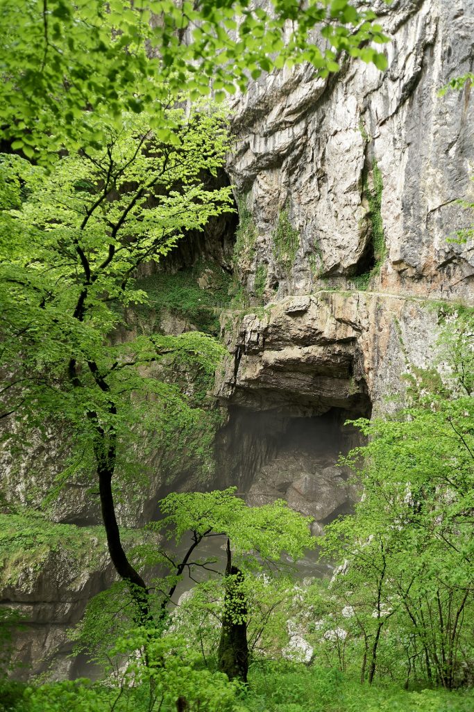 divaca - File:Škocjan Caves, Slovenia, 20240502 1148 7458.jpg