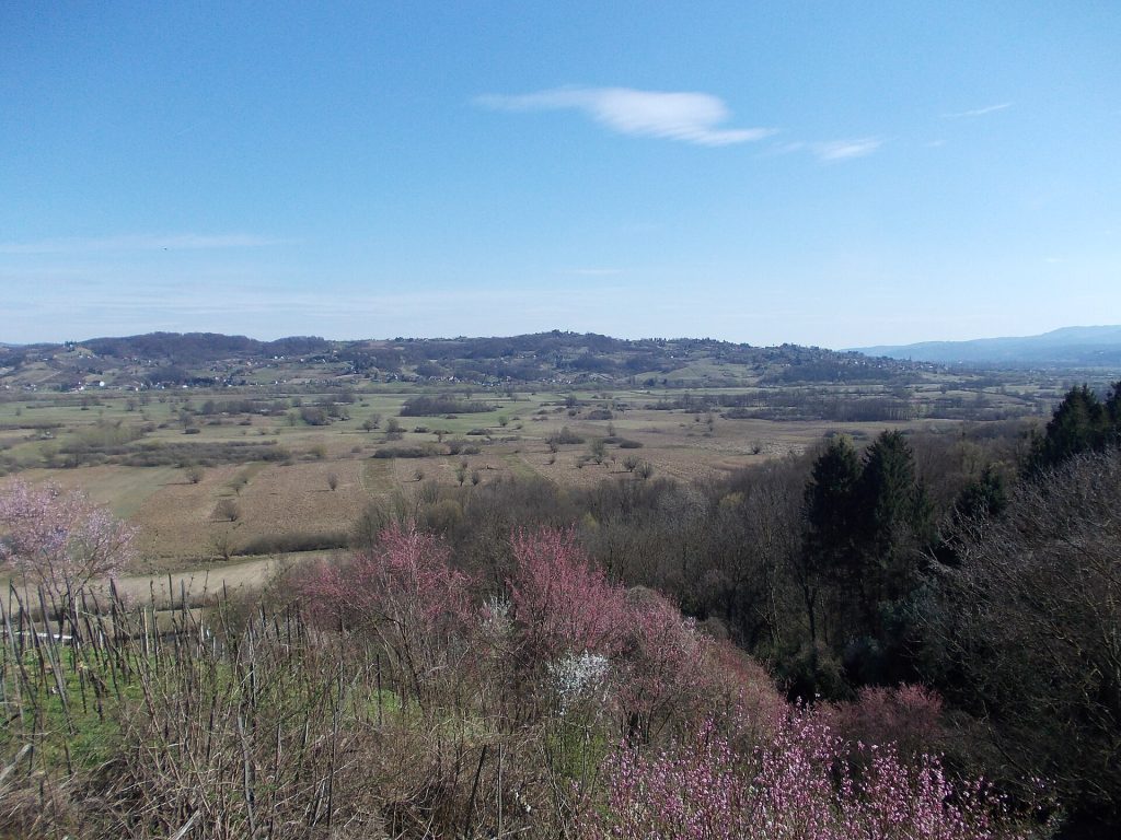 Jovsi, Brežice