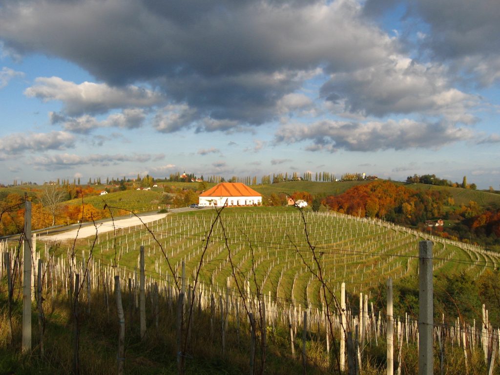 The Malek vineyard cottage in the Jeruzalem hills