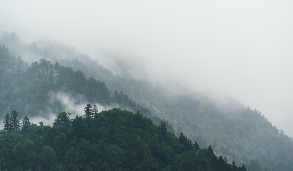 Nebel über dem Hang bei Jesenice
