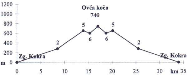 Višinski profil