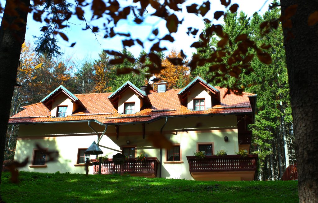 Vila Ruševec