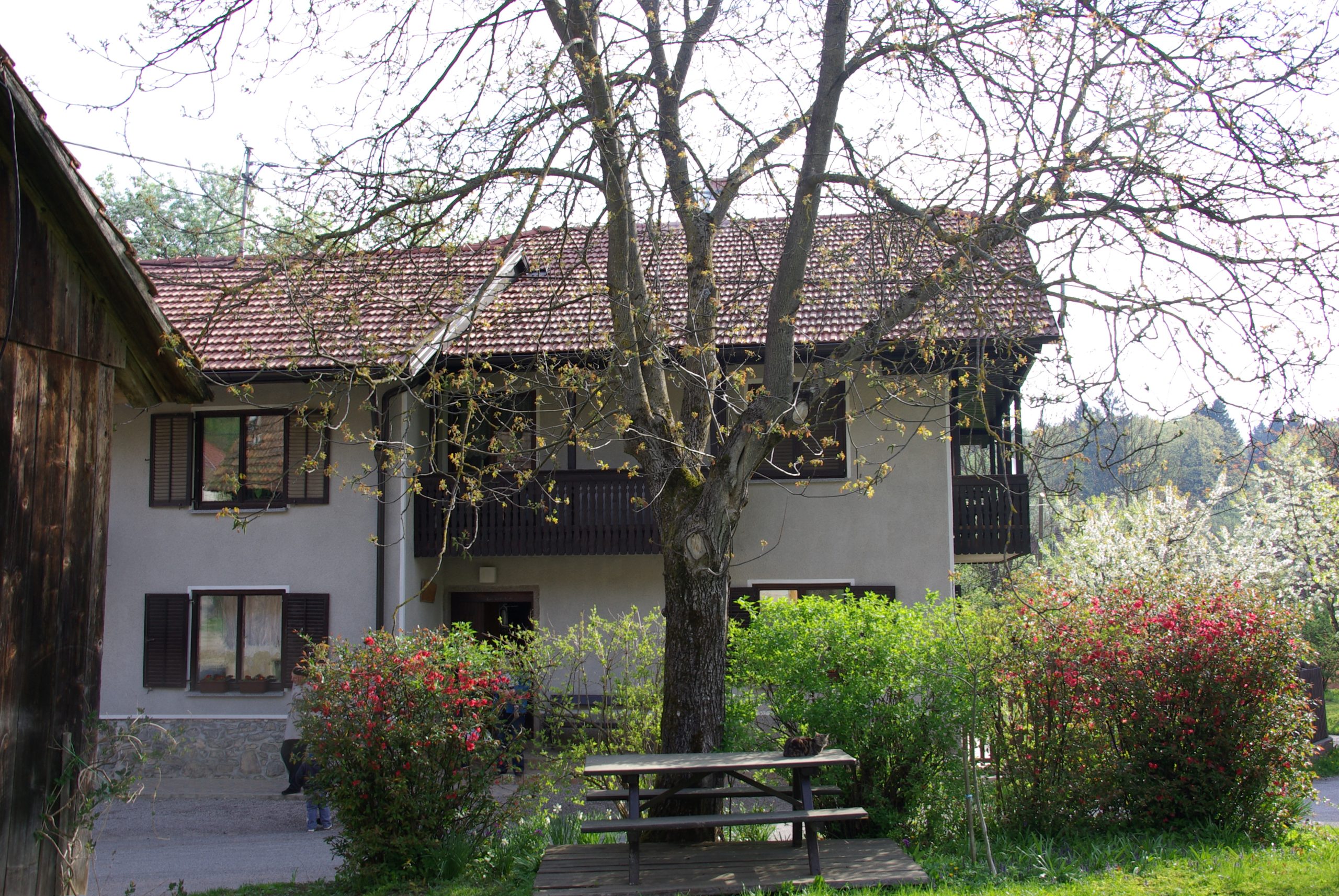 zunanjost