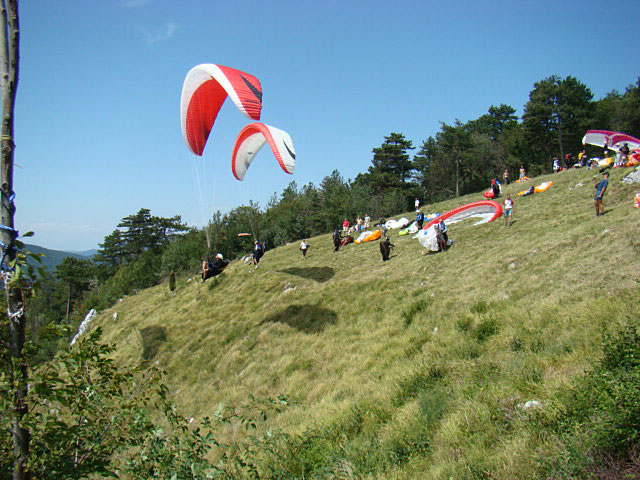 Padalski center Lijak