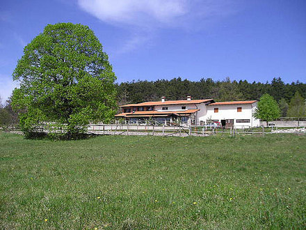 Turistična kmetija pri Filetu Kozina