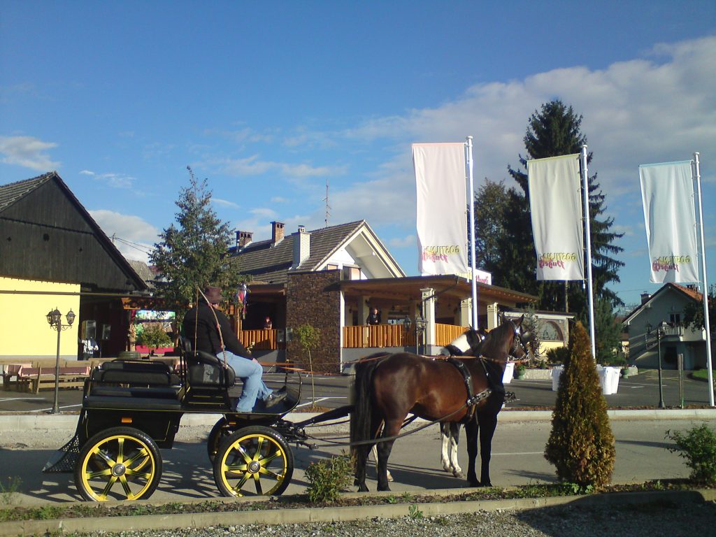 Gostilna Pugelj Novo mesto  
