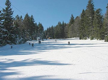 Smučarska karta