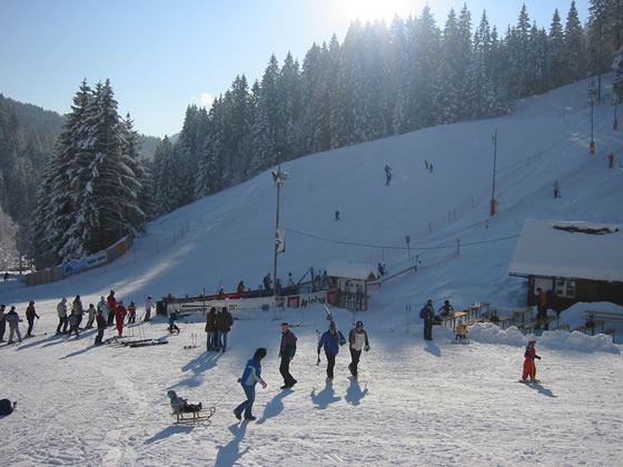 Smučarska karta